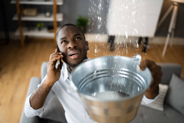 Best Water damage restoration company  in Beverly, NJ