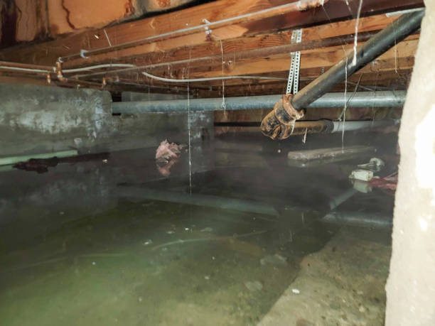 Best Local water damage restoration  in Beverly, NJ