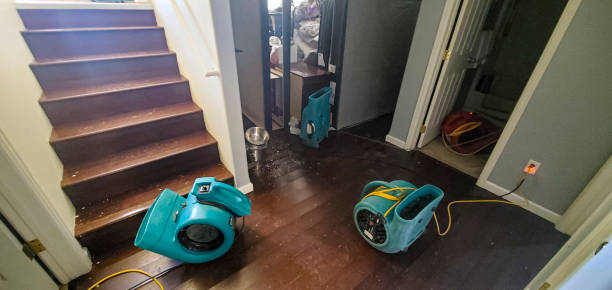 Best Basement water damage restoration  in Beverly, NJ