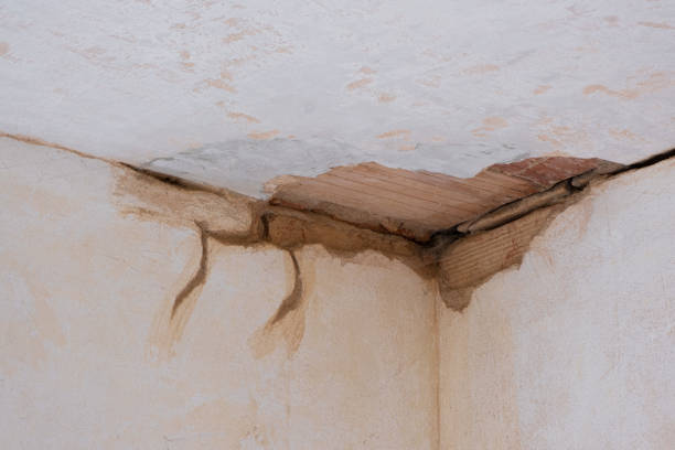 Best Flood restoration services  in Beverly, NJ