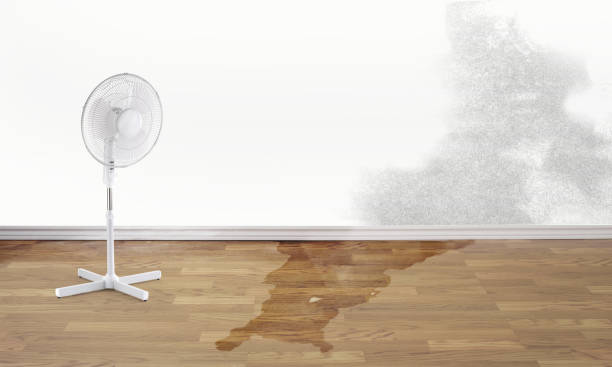  Beverly, NJ Water damage restoration Pros