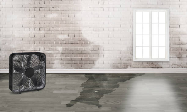 Water damage restoration experts in Beverly, NJ