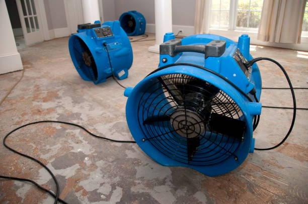 Professional Water damage restoration in Beverly, NJ