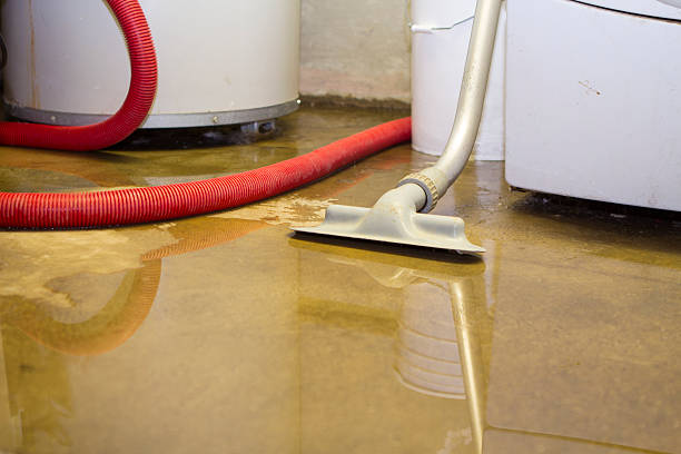 Best Flooded house restoration  in Beverly, NJ