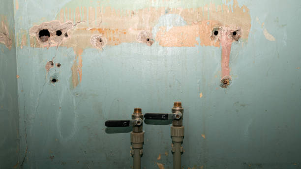 Best Water damage restoration experts  in Beverly, NJ