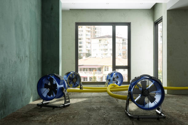 Best Sewage cleanup and water damage restoration  in Beverly, NJ
