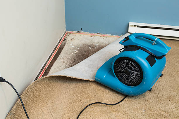 Best Water damage restoration near me  in Beverly, NJ
